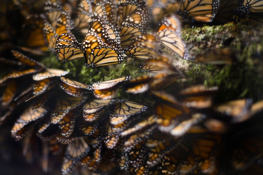 5 maravillas naturales que harán que te enamores del Estado de México