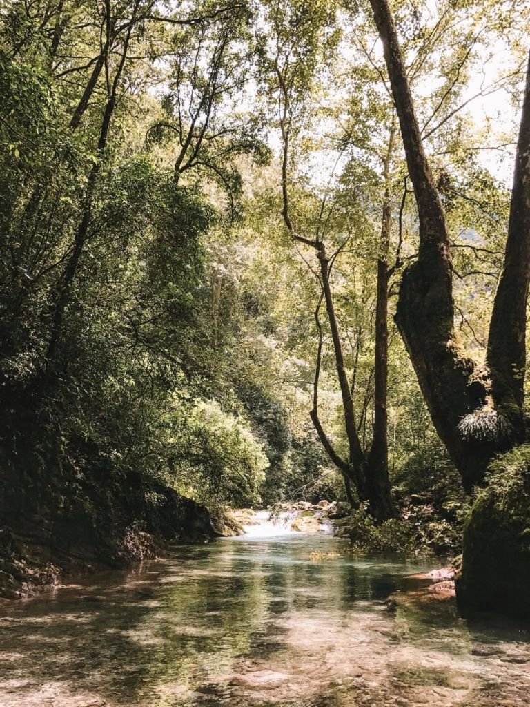 El secreto natural mejor guardado en la Sierra Gorda de Querétaro