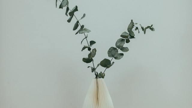 pared-de-color-verde
