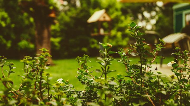 Los jardines ganan peso en la decoración del hogar