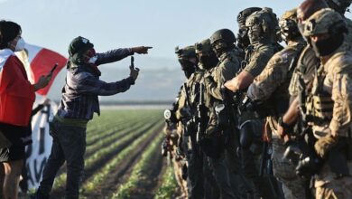 Las redadas, que se llevaron a cabo en dos fincas de marihuana de Glass House, han desatado protestas en las comunidades inmigrantes de California.