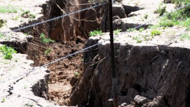 Trabaja la UACH en restauración de suelos degradados en el desierto