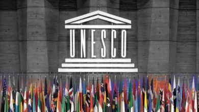 Se celebra el Día de la Organización de las Naciones Unidas para la Educación, la Ciencia y la Cultura (UNESCO), tratándose de una ocasión para afirmar todos y cada uno de los logros conseguidos por la mencionada organización.