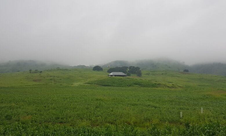 Emite Protección Civil aviso preventivo ante descenso de temperaturas para este fin de semana