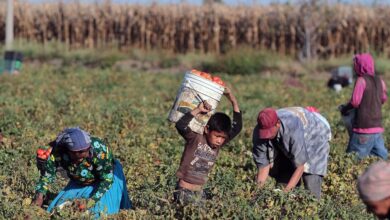 Migrantes bajo sospecha: el riesgo de convertir la participación política en “intervención extranjera”