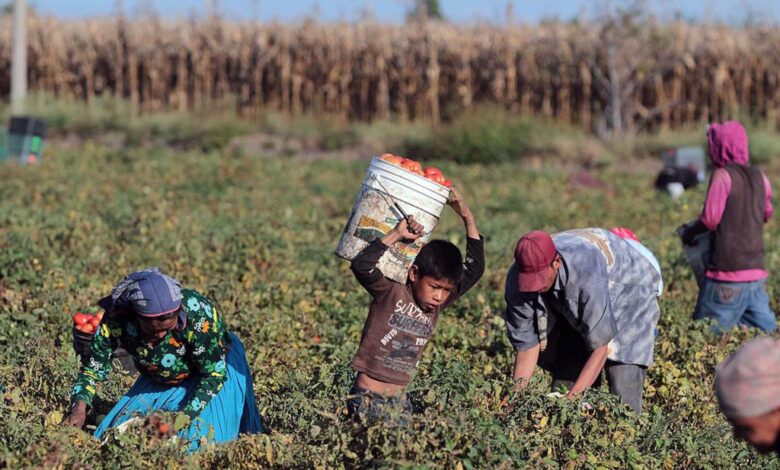 Migrantes bajo sospecha: el riesgo de convertir la participación política en “intervención extranjera”